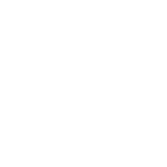 Security Officer Icon